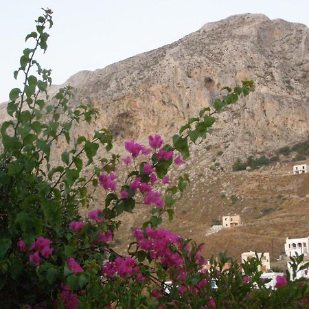 Studios Aeolos Kalymnos Myrties 外观 照片