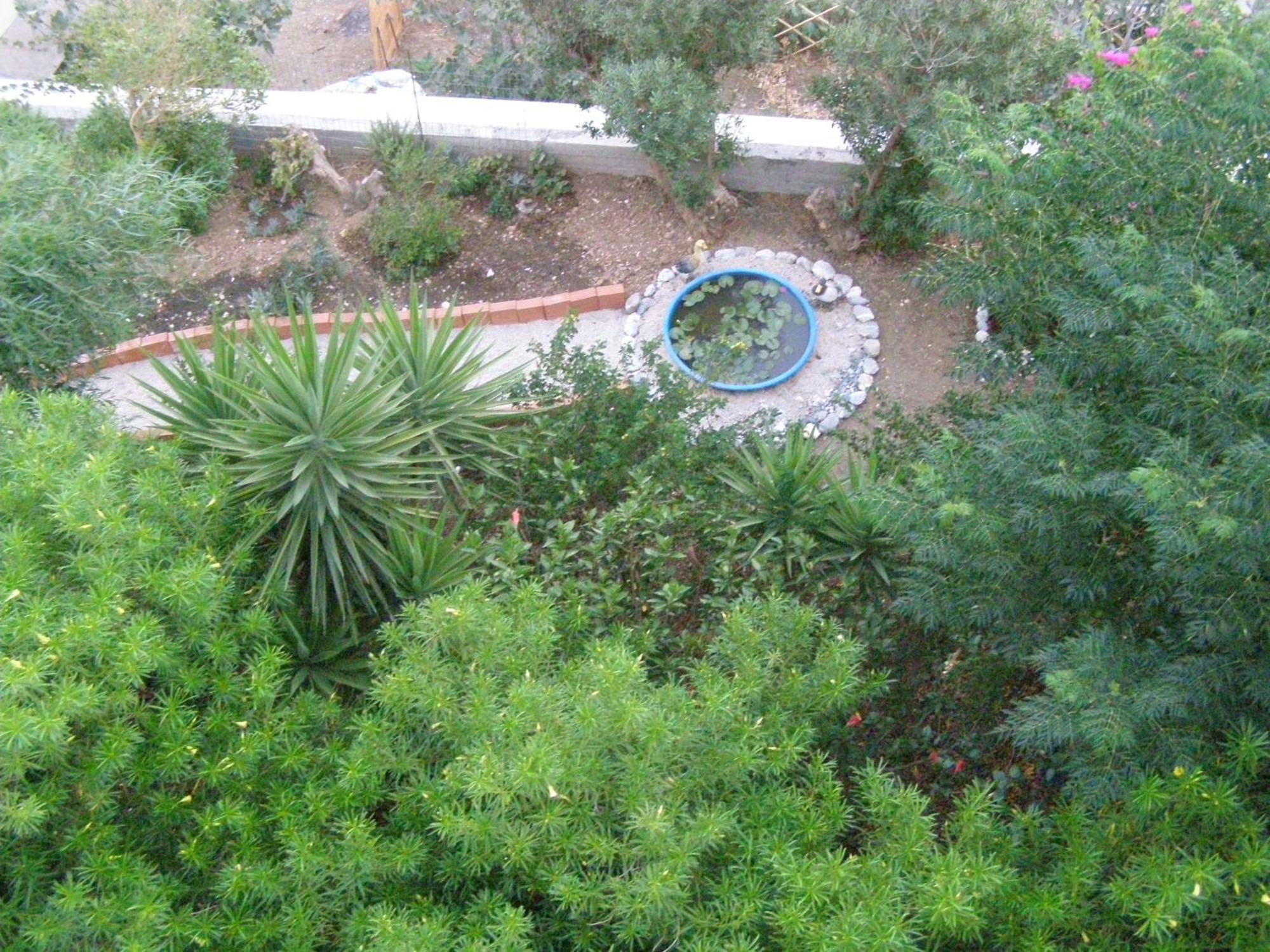 Studios Aeolos Kalymnos Myrties 外观 照片